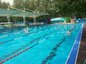 河南錦鯉泳池水上樂(lè)園視頻